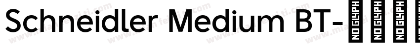 Schneidler Medium BT字体转换